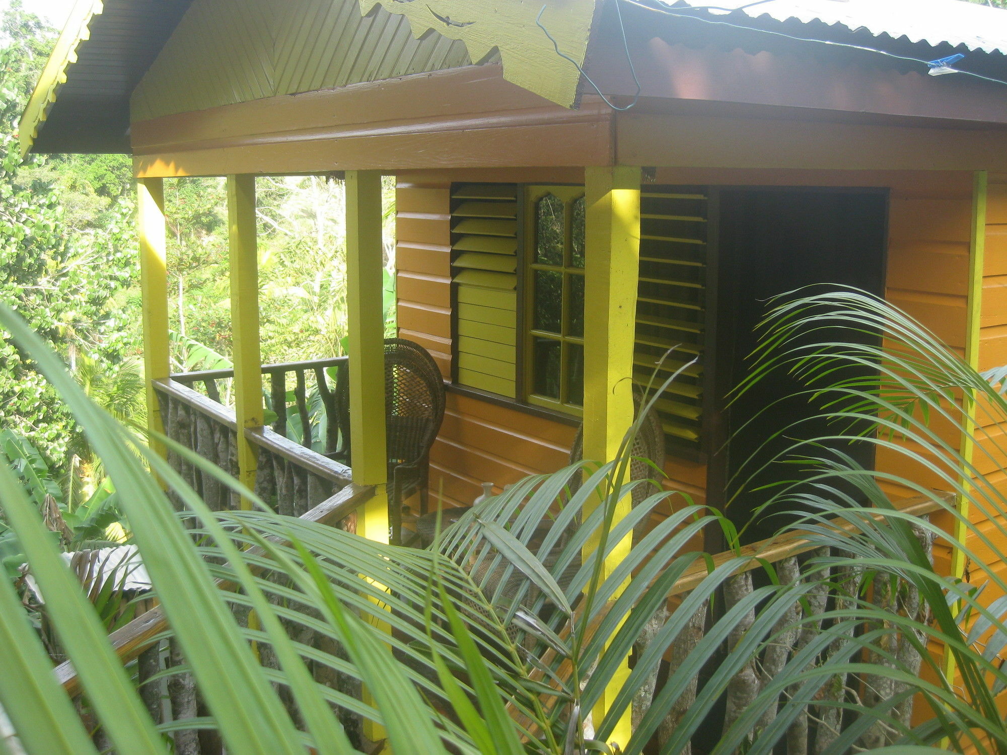 Villa Zimbali Culinary Retreats Negril Exterior foto