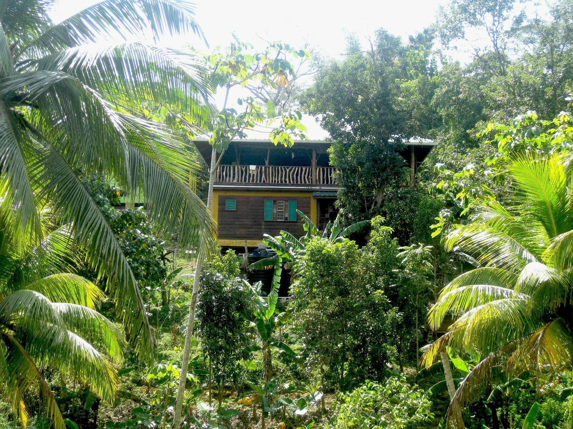 Villa Zimbali Culinary Retreats Negril Exterior foto