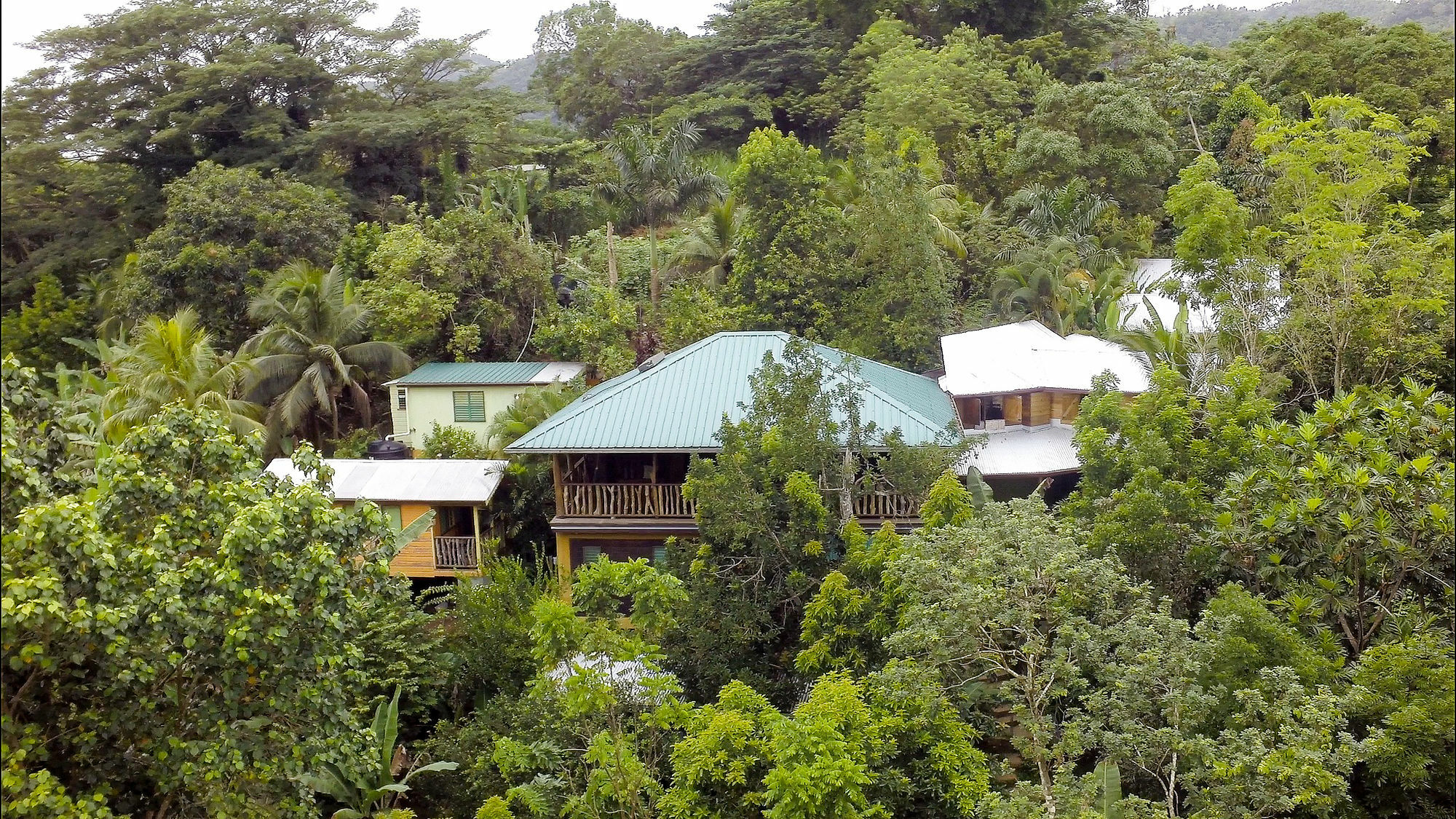 Villa Zimbali Culinary Retreats Negril Exterior foto